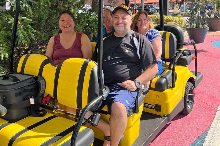 Locally-Guided Tampa Sightseeing Tour in Street-Legal Golf Cart