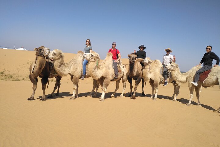 Inner Mongolia Hohhot 1Day Kubuqi Desert (Whistling Dune Bay)Tour