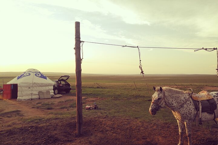 Huhhot Inner Mongolia 3 Days Xilamuren kubuqi Desert Nature Tour