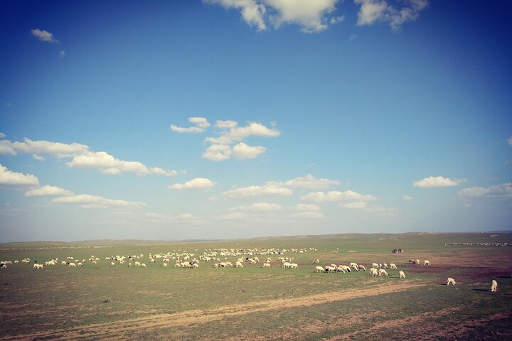 Huhhot Inner Mongolia 3 Days Xilamuren kubuqi Desert Nature Tour