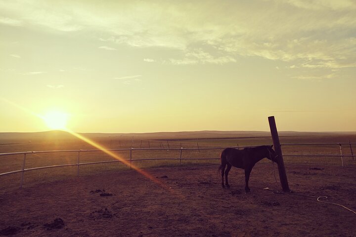 Huhhot Inner Mongolia 3 Days Xilamuren kubuqi Desert Nature Tour
