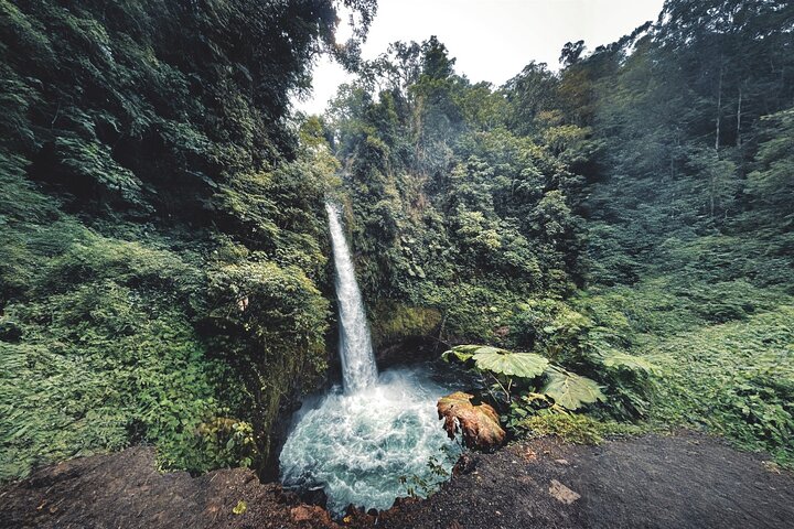 Poás Volcano and Coffee Tour with Tasting and La Paz Falls