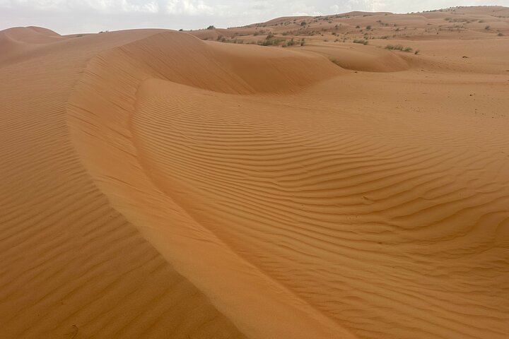 Private Safari tour and Wadi in 4x4 with a local guide