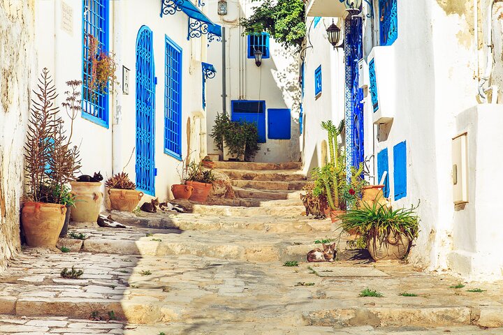 6 Day Tour to Discover the Treasures of Tunisia