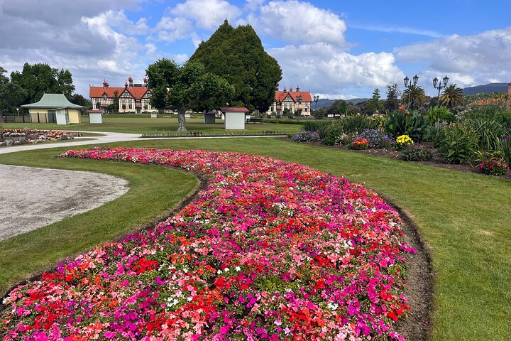 2 Days Private Tour in Tauranga, Rotorua, Taupo from Hamilton