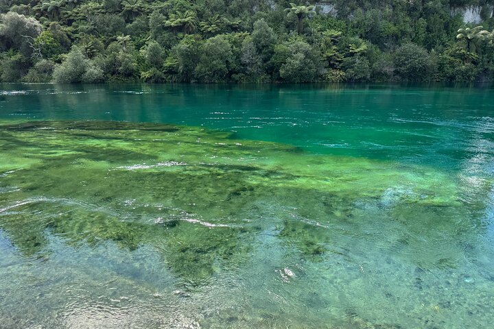 2 Days Private Tour in Tauranga, Rotorua, Taupo from Hamilton