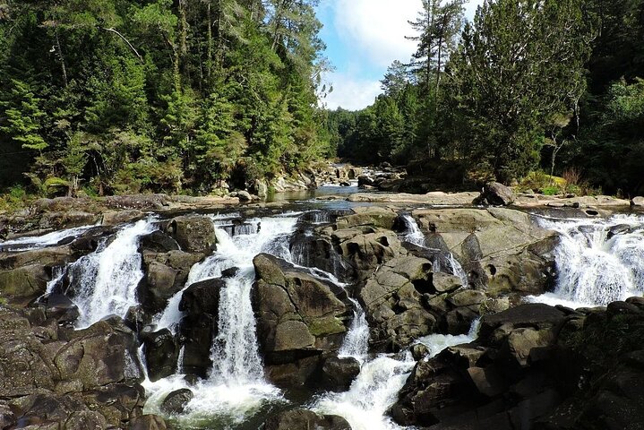 2 Days Private Tour in Tauranga, Rotorua, Taupo from Hamilton