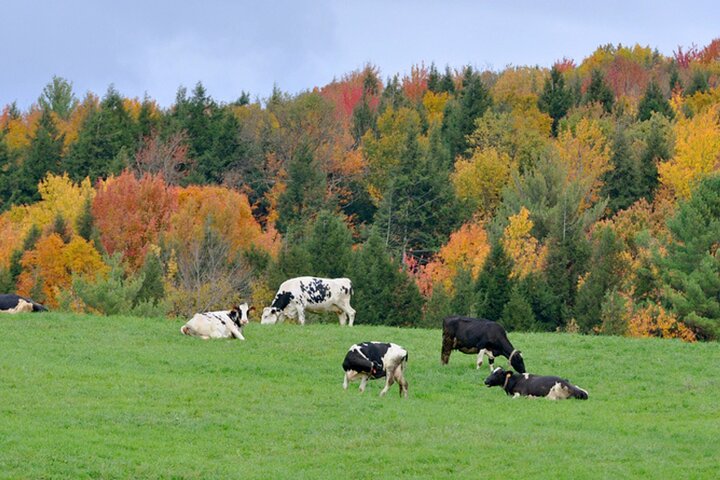 Self-Guided Audio Driving Tour of Vermont, RT100 Scenic Byway