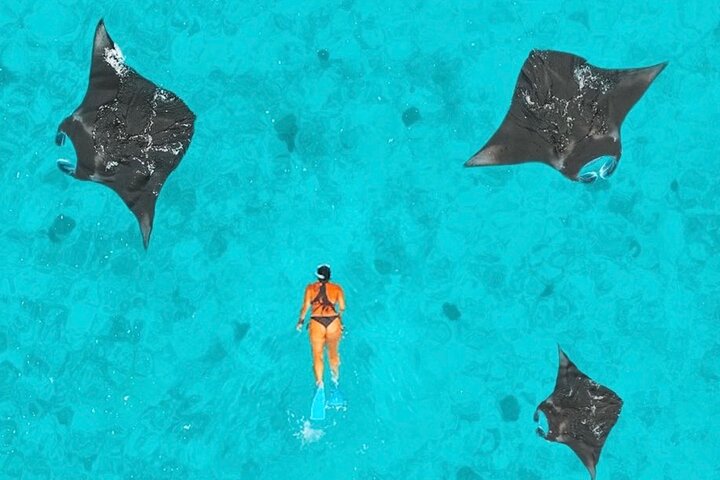 Manta Point Snorkeling & West Nusa Penida Island Day Tour