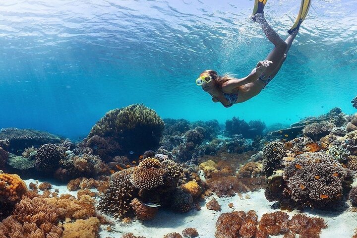 Manta Point Snorkeling & West Nusa Penida Island Day Tour