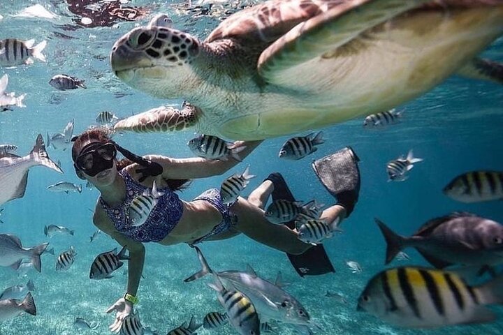 Manta Point Snorkeling & West Nusa Penida Island Day Tour