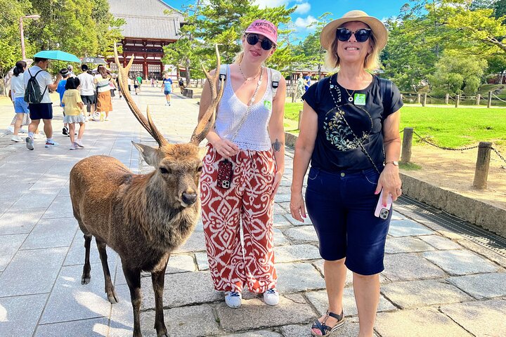 World Heritage Kyoto & Nara Uji Authentic Matcha Experience