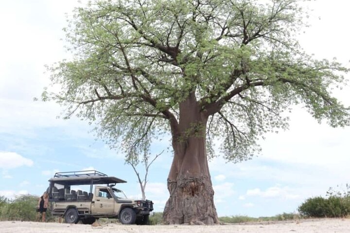 4 Day All Inclusive Tour to Boteti, Delta and Pans