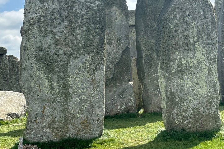 Stonehenge, Avebury & Sacred Sites – Private Day Tour