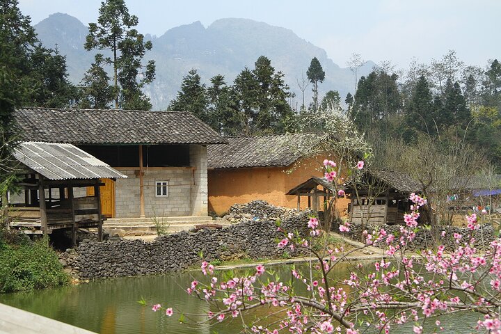 4-Day Motorbike Tour through Ha Giang’s Wonders