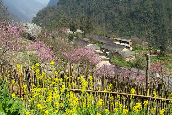 4-Day Motorbike Tour through Ha Giang’s Wonders