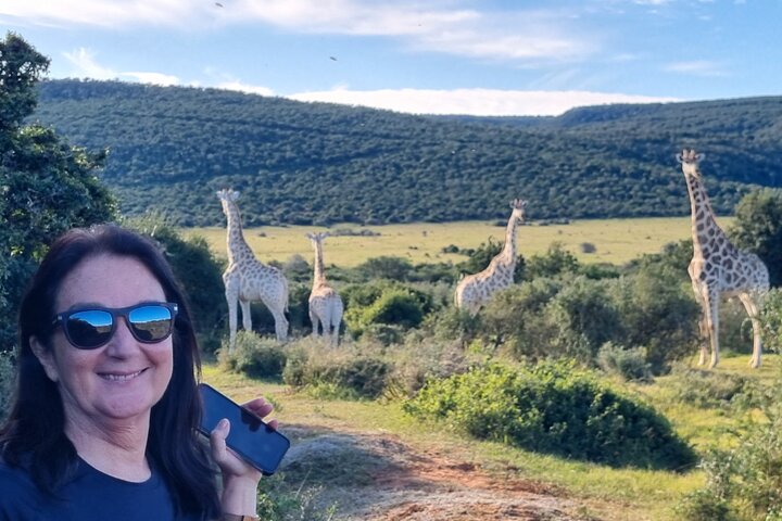 Full-Day Addo Elephant Park & Giraffe Walk