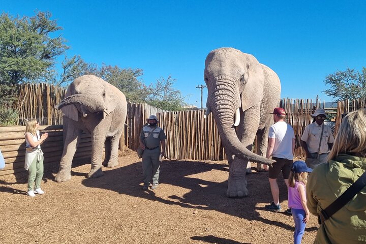 5 Day Private Luxury Garden Route Safari from Port Elizabeth