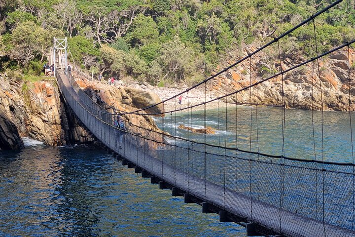 5 Day Private Luxury Garden Route Safari from Port Elizabeth