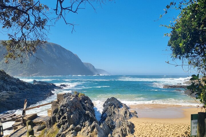 5 Day Private Luxury Garden Route Safari from Port Elizabeth