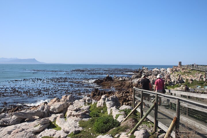 5 Day Private Luxury Garden Route Safari from Port Elizabeth