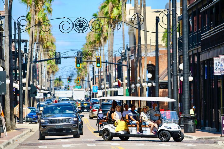 Guided Tampa Sightseeing Tour in a Deluxe Street Legal Golf Cart
