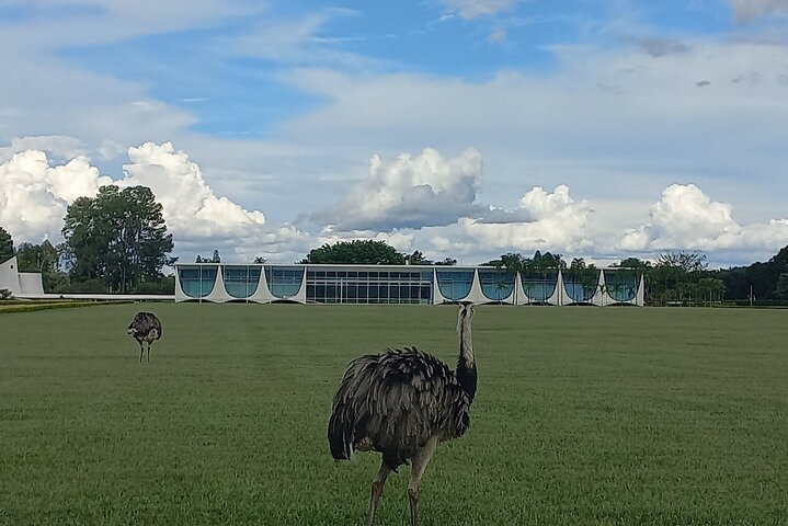 Excursion to the City of Brasilia
