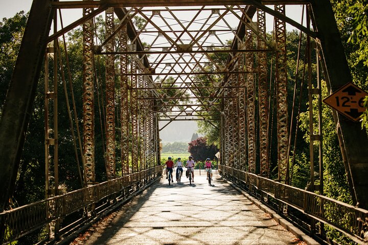 Full Day Guided Electric Bike Wine Tasting Tour with Lunch