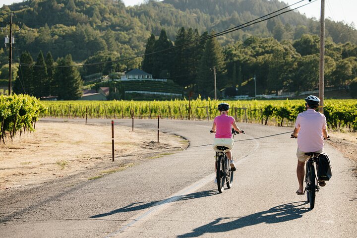 Full Day Guided Electric Bike Wine Tasting Tour with Lunch