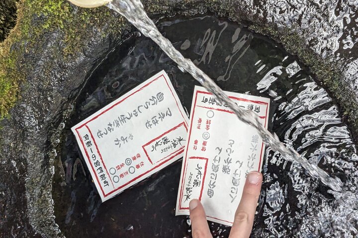 Private guided tour: Mt. Aso volcano, grasslands, Aso Shrine