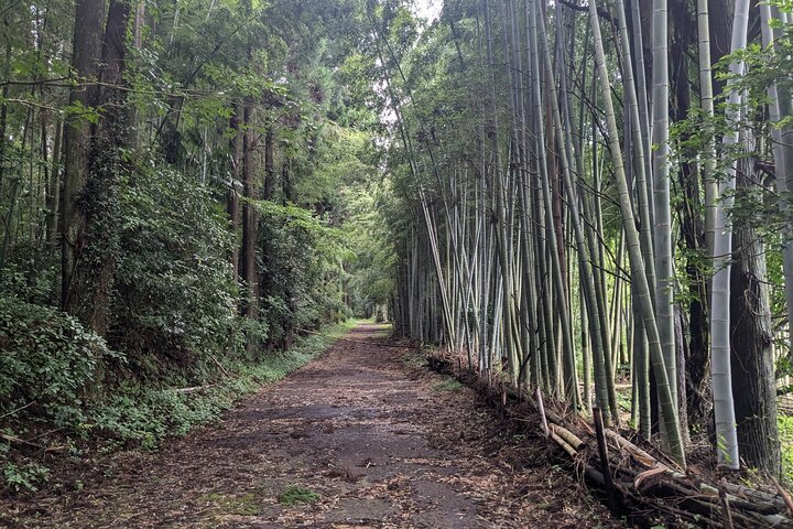 Walking through the Aso Caldera, Historical Walk along the "Bungo Kaido"