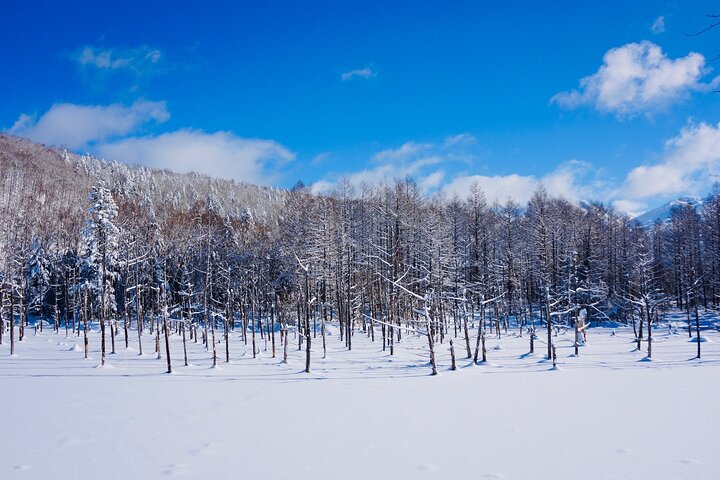 Between Niseko and New Chitose Airport: Private One-Way Transfer