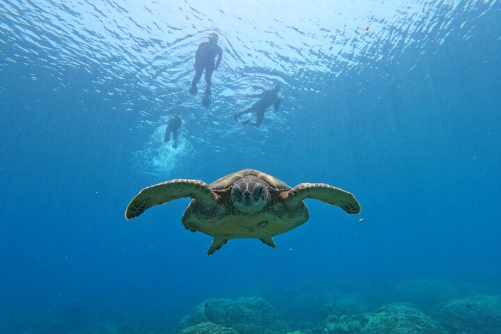 Daymaniyat Islands Snorkeling Sharing Trip