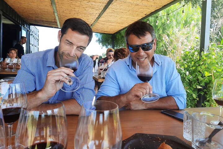 Private Mendoza WineTour: 3 Premium Wineries Michelin-Guide Lunch