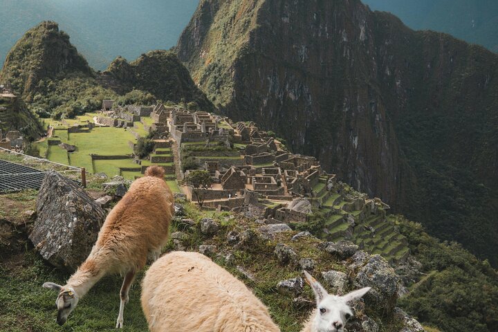 Machu Picchu Private Tour with Ticket, Bus from Aguas Calientes