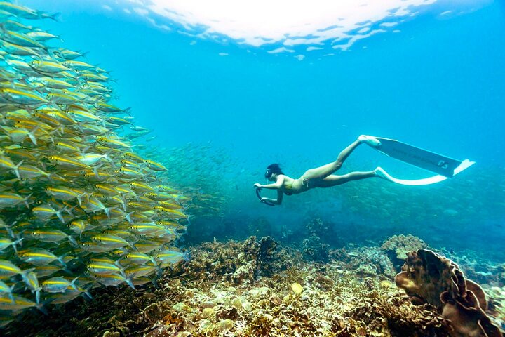 Koh Tao’s Top Snorkeling Spots by Vintage Wooden Boat