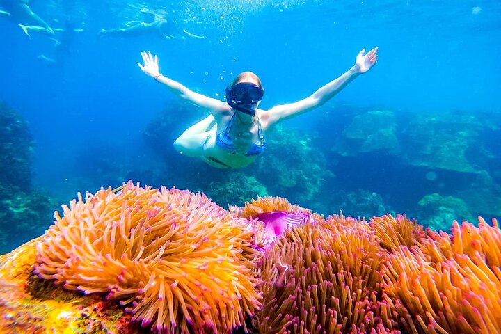 Koh Tao’s Top Snorkeling Spots by Vintage Wooden Boat