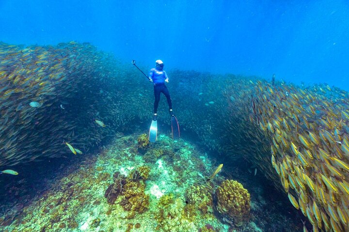 Koh Tao’s Top Snorkeling Spots by Vintage Wooden Boat