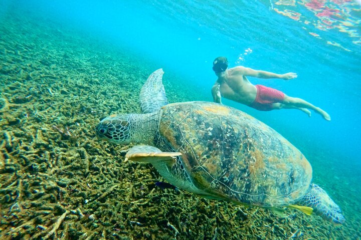 Koh Tao’s Top Snorkeling Spots by Vintage Wooden Boat