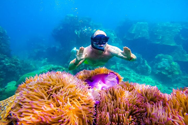 Koh Tao’s Top Snorkeling Spots by Vintage Wooden Boat
