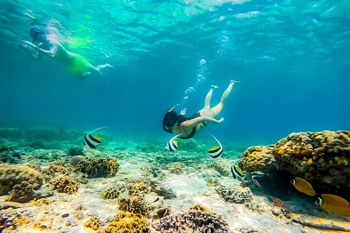 Koh Tao’s Top Snorkeling Spots by Vintage Wooden Boat