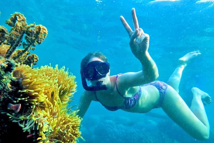 Koh Tao’s Top Snorkeling Spots by Vintage Wooden Boat