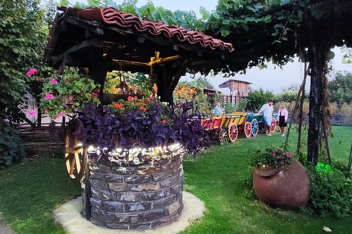 Bulgarian Dinner with Show from Nessebar and Sunny Beach