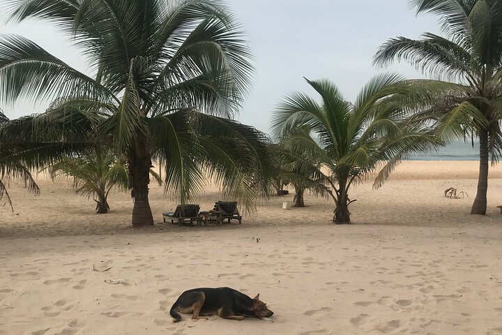 Round Trip Gambia - Crocodile Pool, School Visit & More!