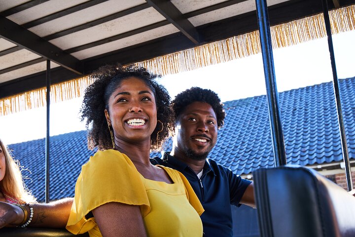Charleston Horse-Drawn Carriage Tour: Explore Historic Charleston