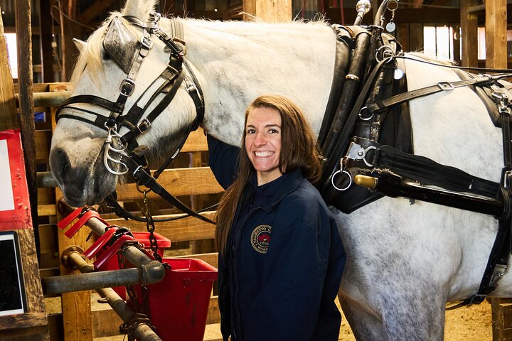 Charleston Horse-Drawn Carriage Tour: Explore Historic Charleston