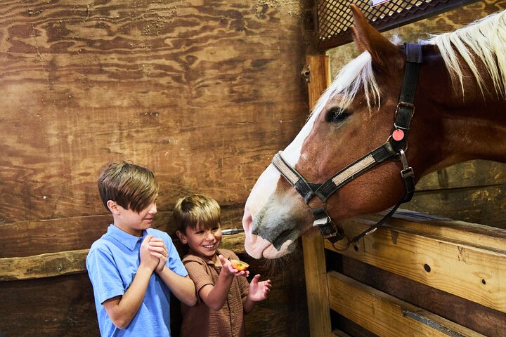 Charleston Horse-Drawn Carriage Tour: Explore Historic Charleston