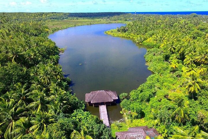 Tiger Shark Diving in Fuvahmulah:8 Days, 7 Nights 15 dives offer