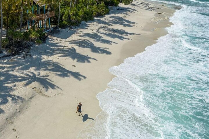 Tiger Shark Diving in Fuvahmulah:8 Days, 7 Nights 15 dives offer