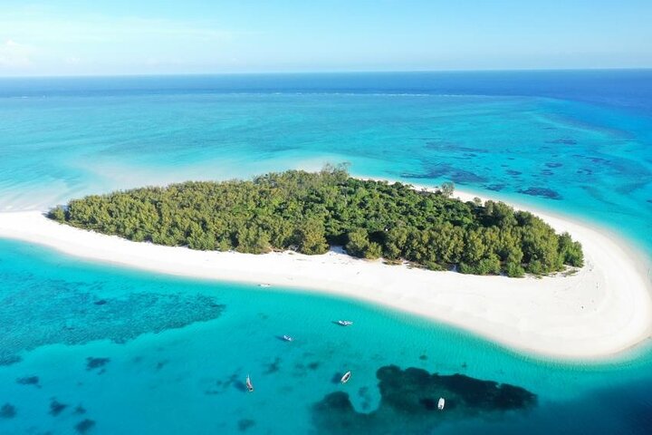 Zanzibar Mnemba Island Snorkeling and Dolphin Watching Adventure